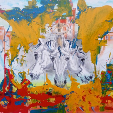 Manège sur la place Jemaa el fna a Marrakech